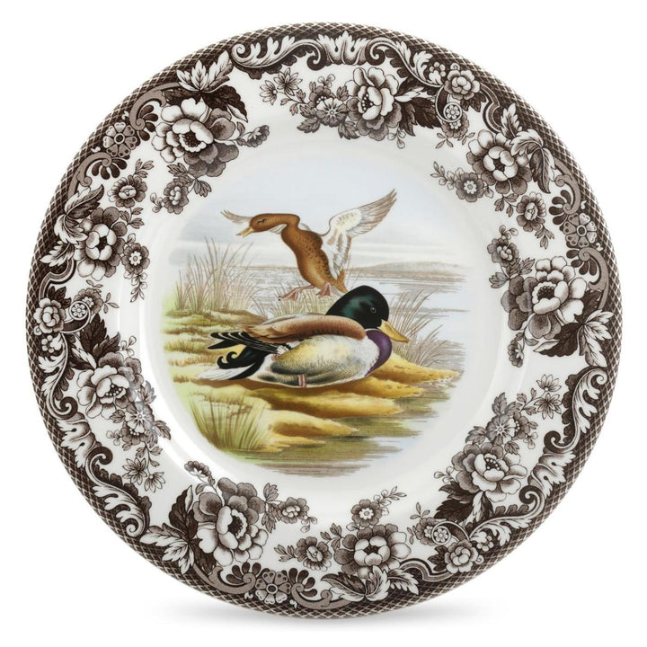 Spode Woodland - Mallard